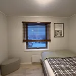 Modern Brand New Apartment