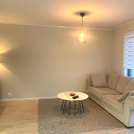 Modern Brand New Apartament Kongsberg