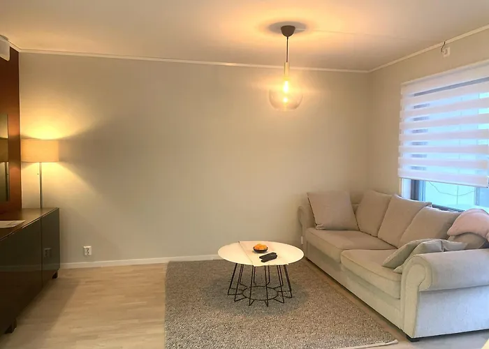 Modern Brand New Апартаменты Конгсберг